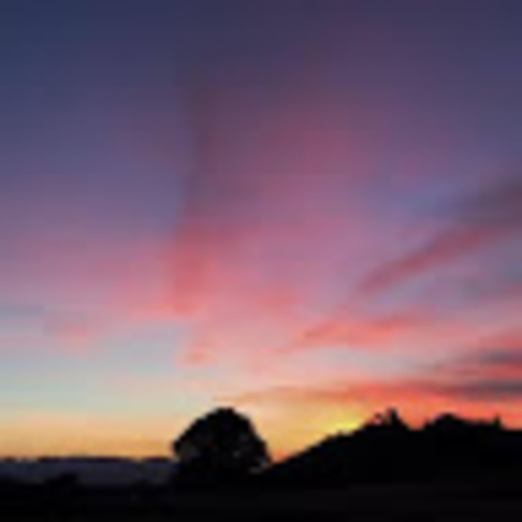 Meet your Posher, Olivia - Picture 1 of 1